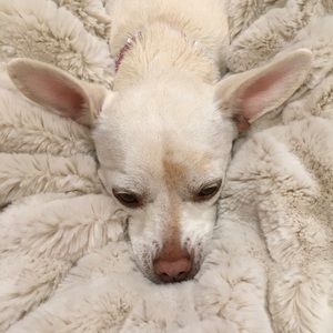 Meet your Posher, Krista